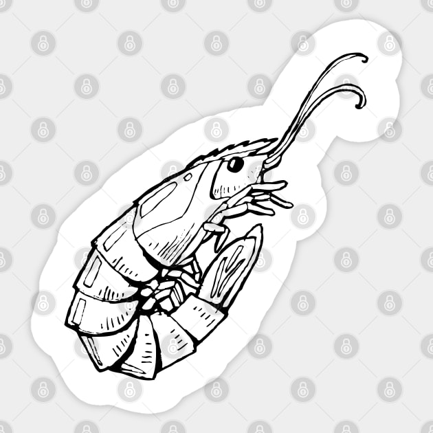 shrimp Sticker by Yerlanio